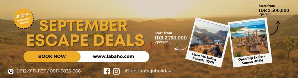 September Promo